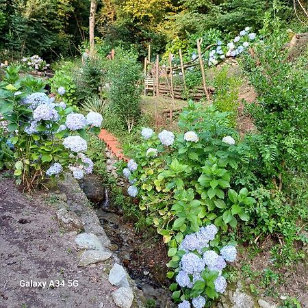 La Casetta Nel Verde Como Bagian luar foto