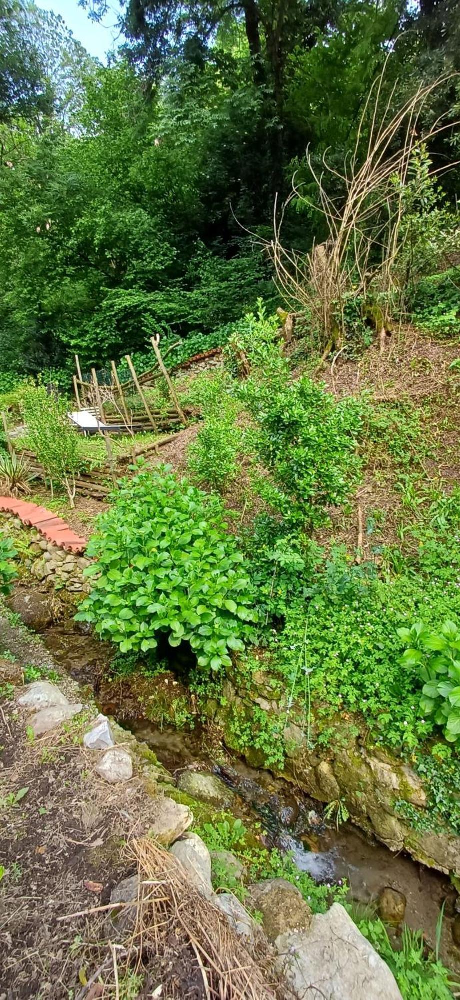 La Casetta Nel Verde Como Bagian luar foto